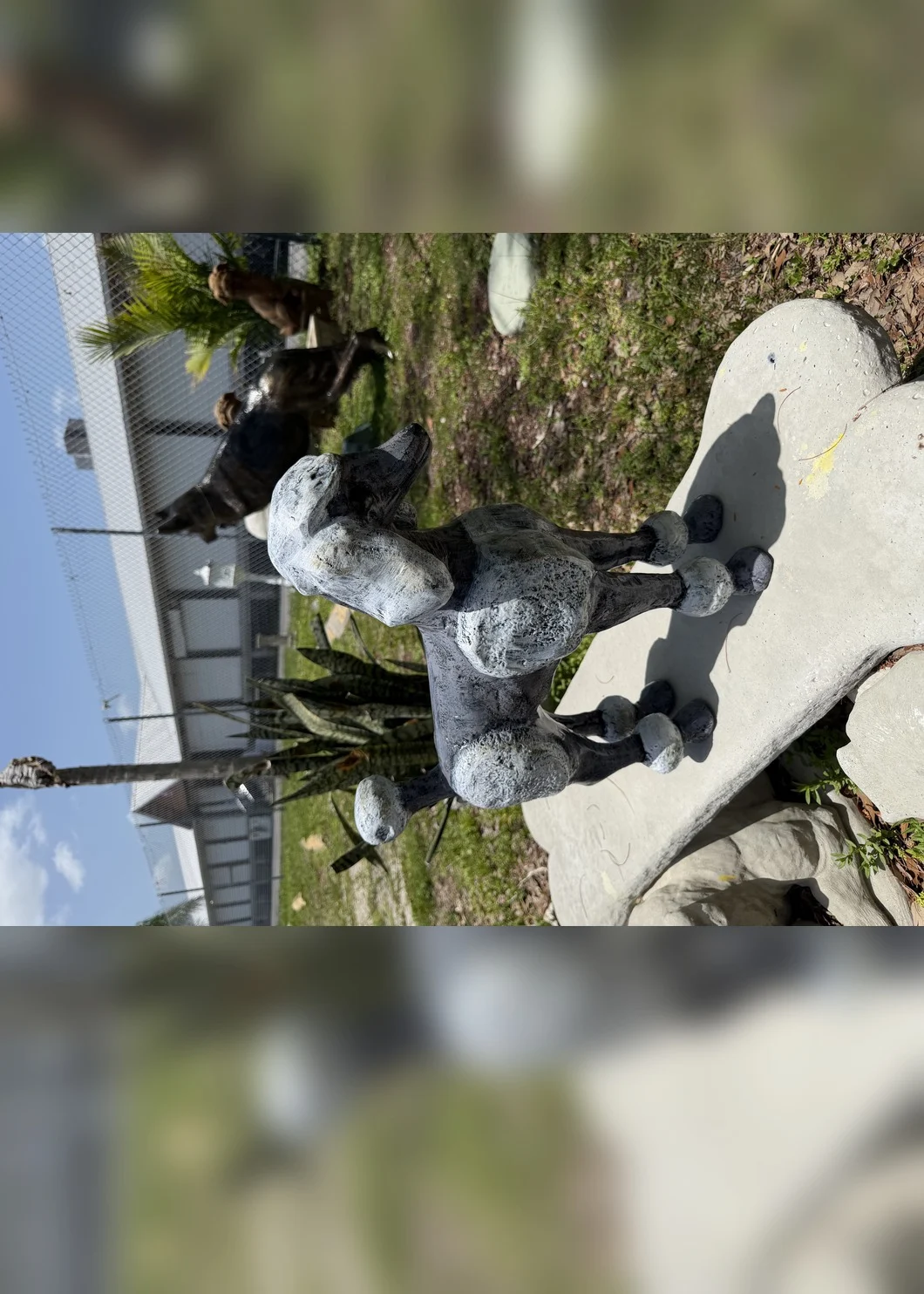 French Poodle Dog Statue – Hand-Painted Outdoor Garden Decor